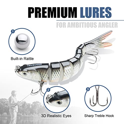 TRUSCEND Fishing Lures